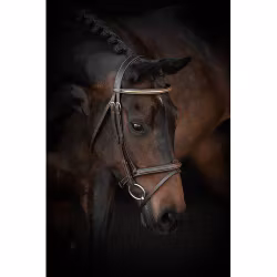 Källquist Träns Lippo Basic Preston Fancy