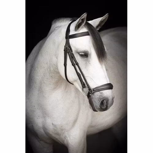 Källquist Träns Lippo Supreme Remont