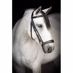 Källquist Träns Lippo Supreme Remont