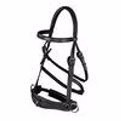 Källquist Lippo Kapson