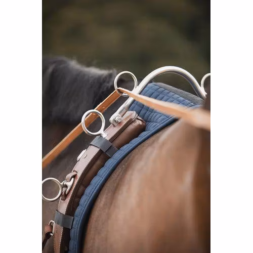 Källquist Tömkörningsgjord / Longeringsgjord