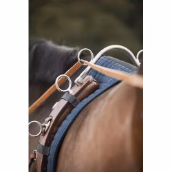 Källquist Tömkörningsgjord / Longeringsgjord