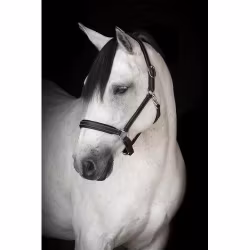 Källquist Lädergrimma Lippo Basic