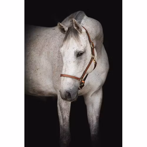 Källquist Lädergrimma Lippo Supreme Midbrown