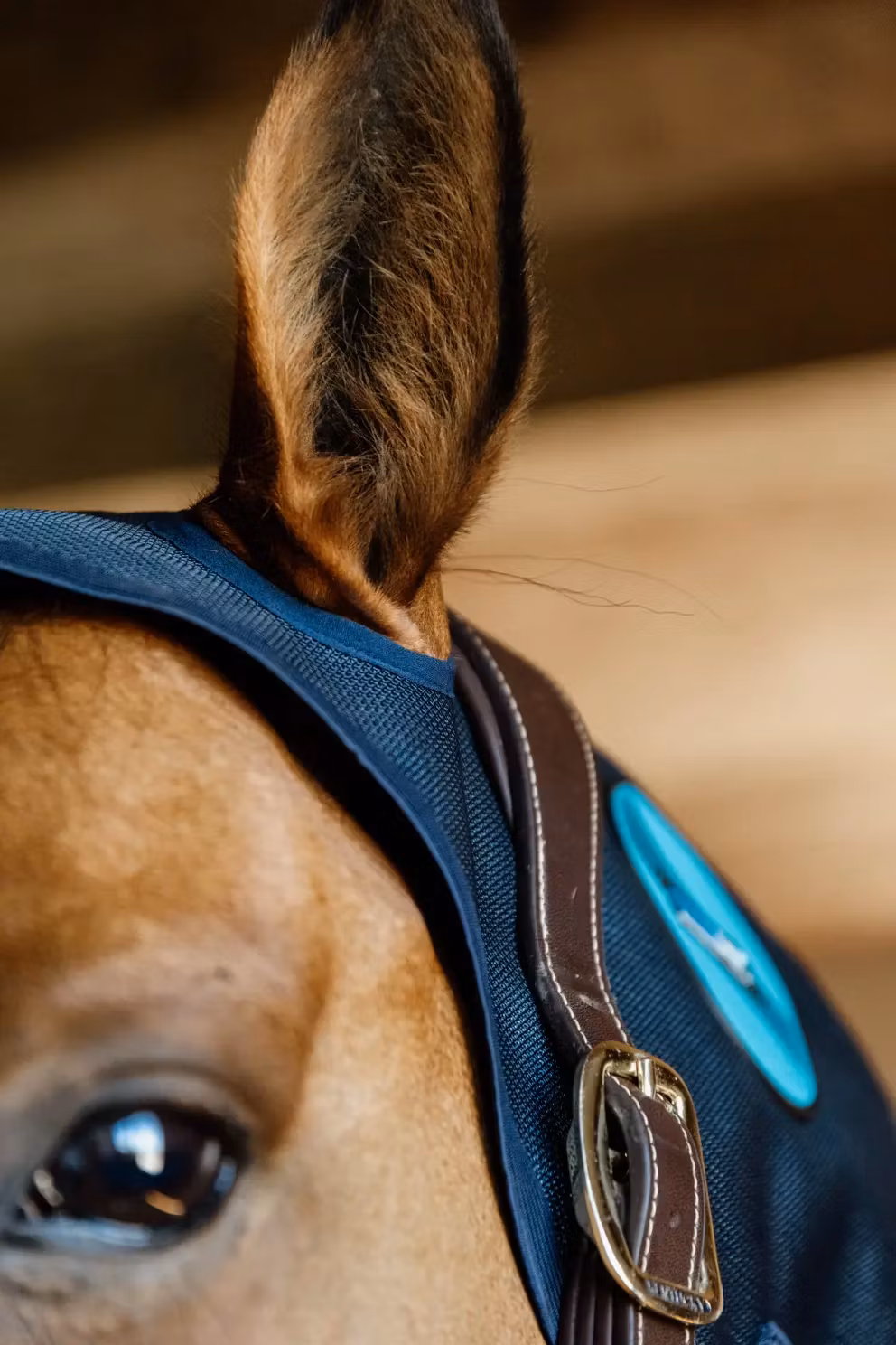 Kentucky Magnetic Neck Protector Recuptex