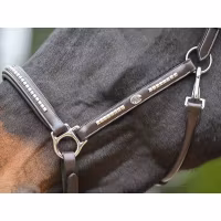 JumpIn Week Clincher Grimma