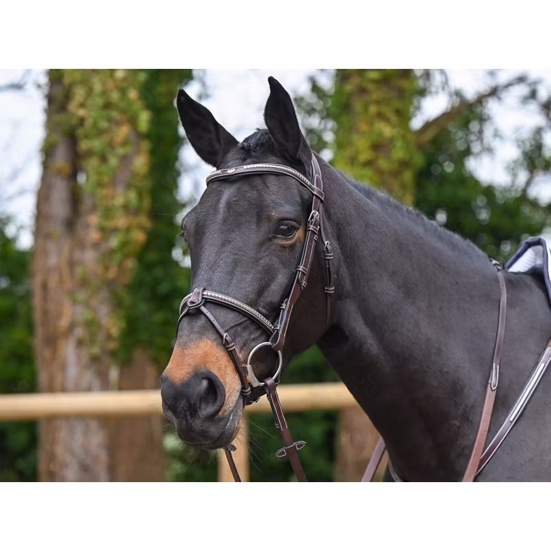 JumpIn Week Clincher Träns