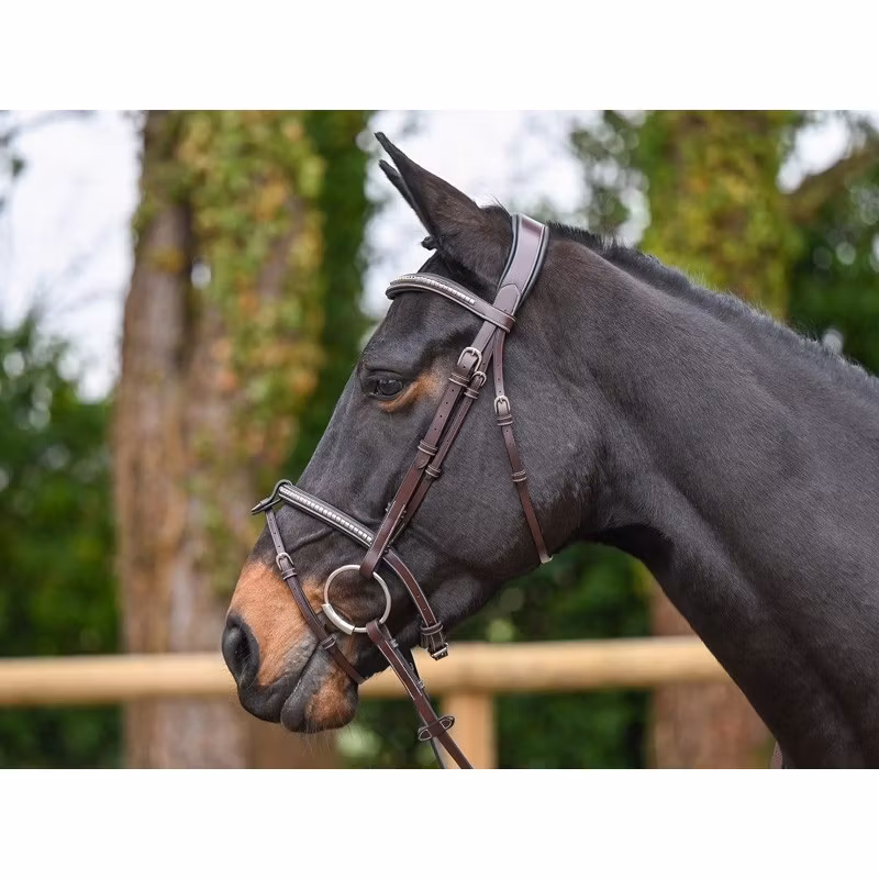 JumpIn Week Clincher Träns