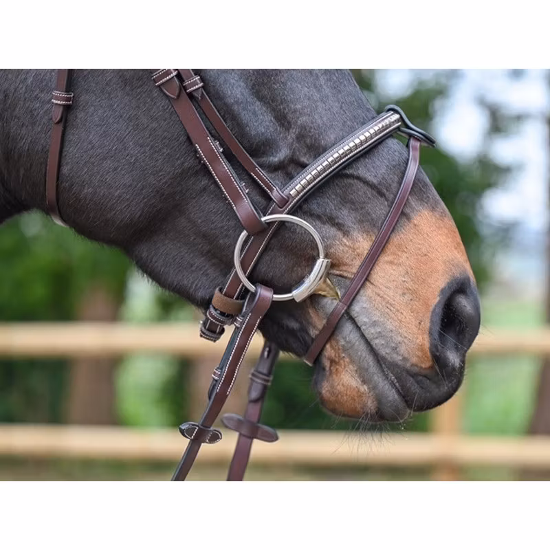 JumpIn Week Clincher Träns