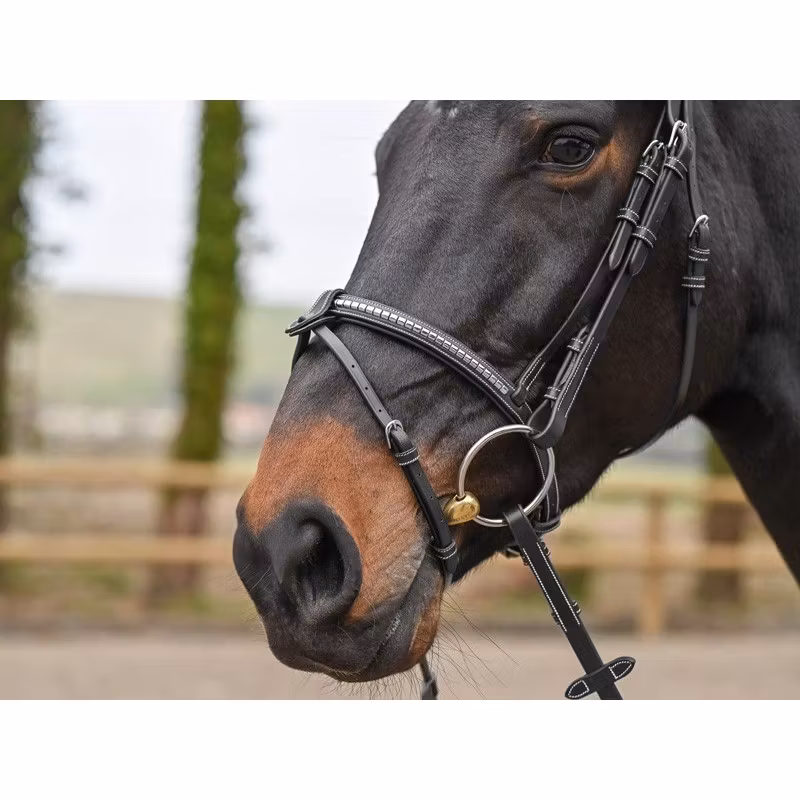 JumpIn Week Clincher Träns