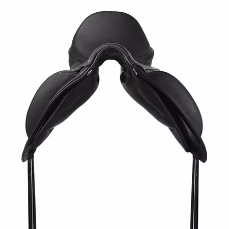 Prestige X-D2 2 K Free D