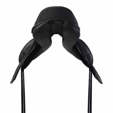 Prestige X-D2 2 K Free D