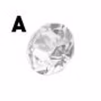 KK ULTRA Shine Bright bradoon 14 mm - Sensogan