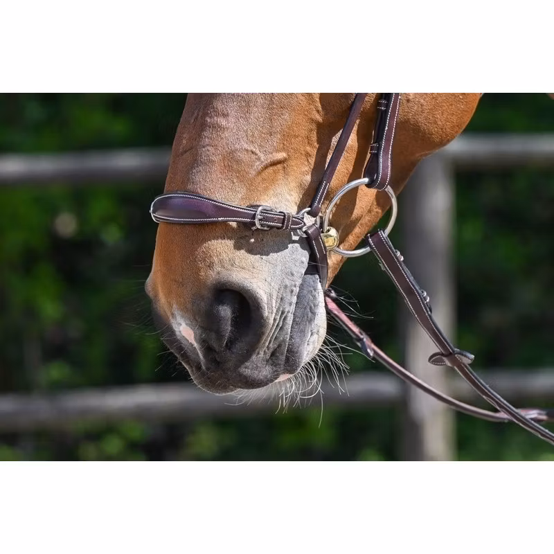 JumpIn Week Remontnosgrimma