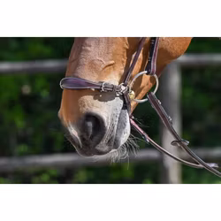 JumpIn Week Remontnosgrimma