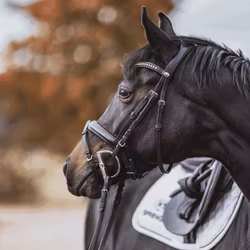 KK ULTRA D-Ring 15 mm - Sensogan