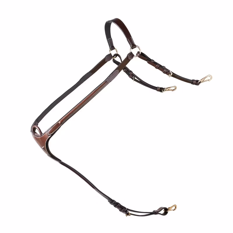 TRUST Bryssel förbygel