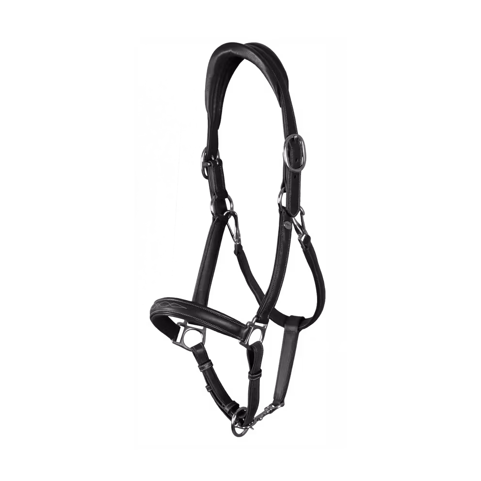 Dyon Mjuk lädergrimma