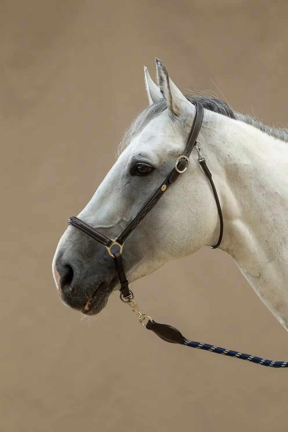 Dyon Grooming grimma