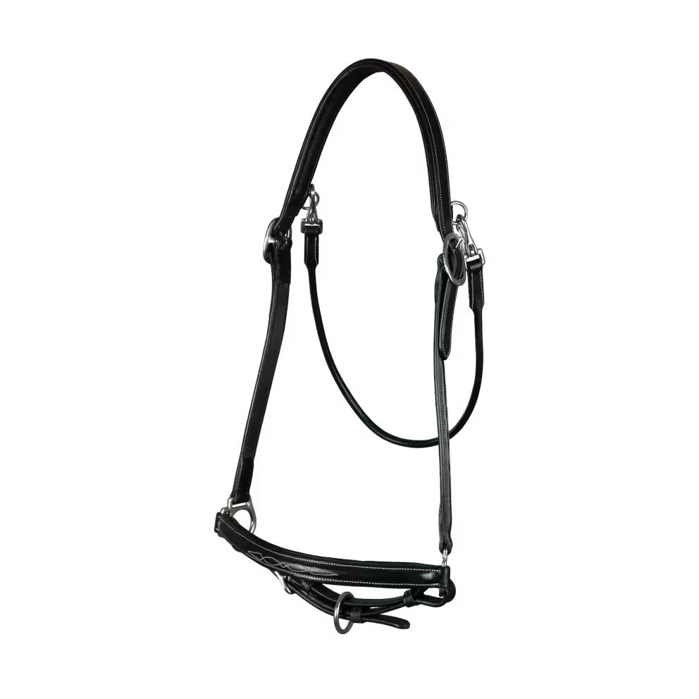 Dyon Grooming grimma