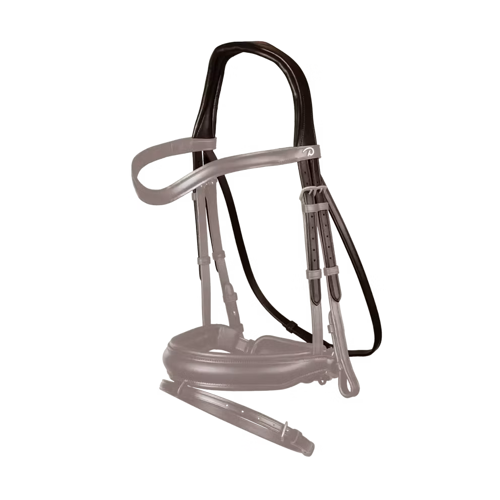 Dyon "Dressyr" Headpiece