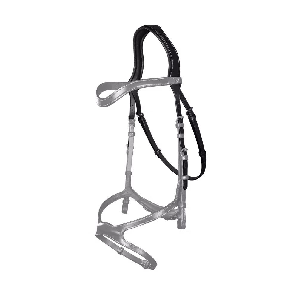 Dyon 1-bands huvudstycke med halsspärr N