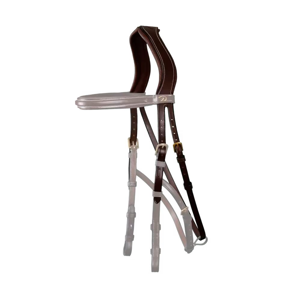 Dyon Hackamore Headpiece