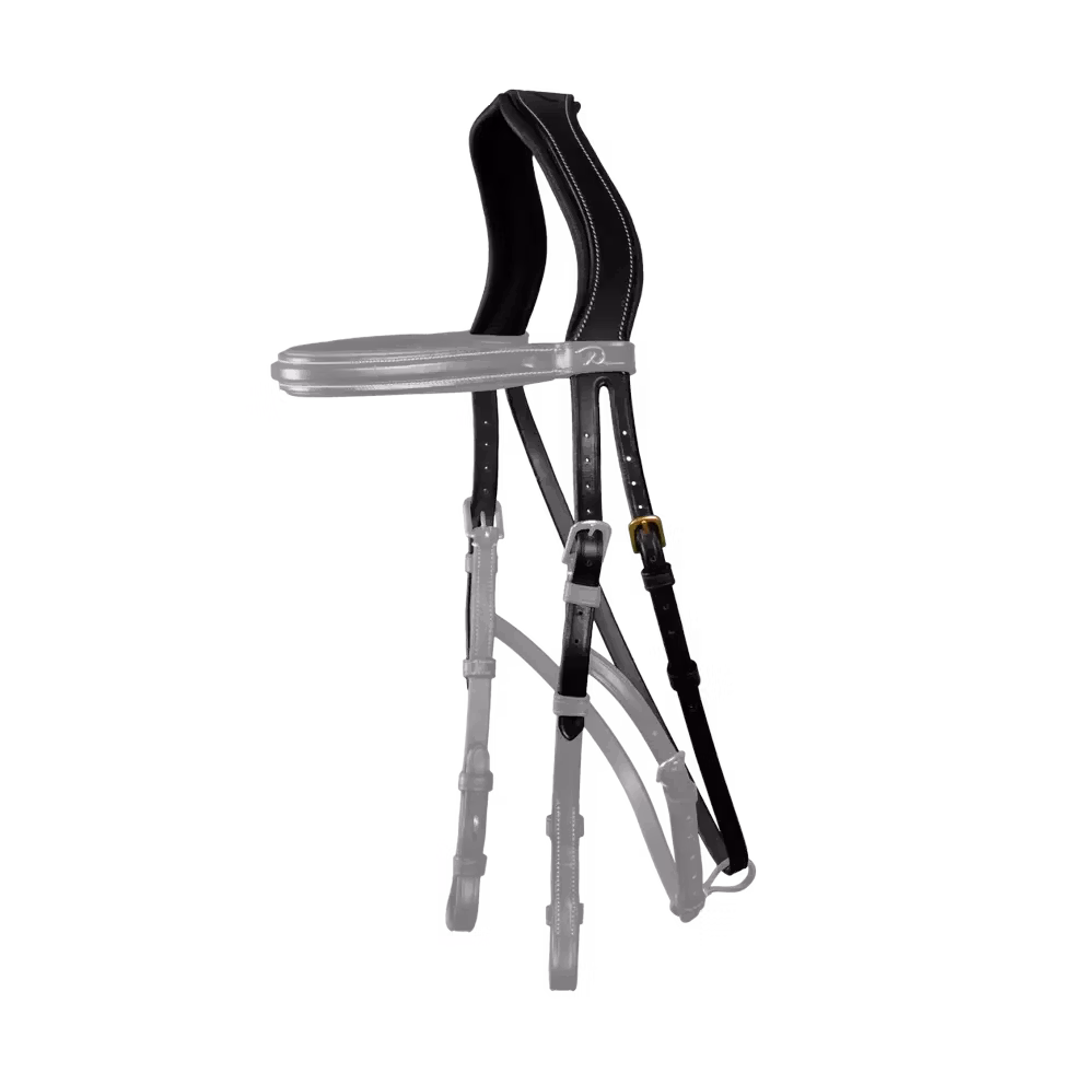 Dyon Hackamore Headpiece