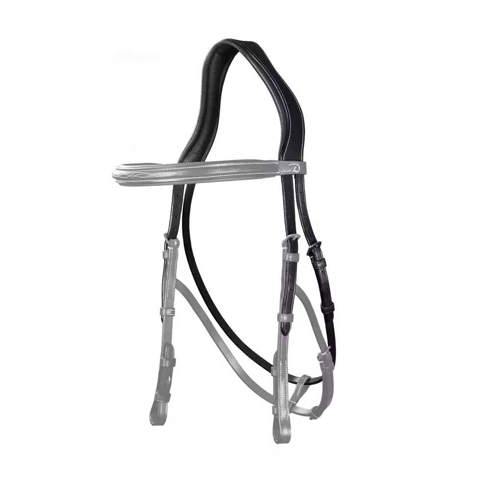Dyon Hackamore Headpiece US