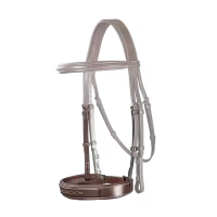 Dy'on Bred Hunter Nosgrimma U