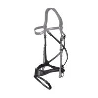 Dy'on D Motion Nosgrimma + Remmar D