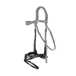 Dy'on D Motion Nosgrimma + Remmar N