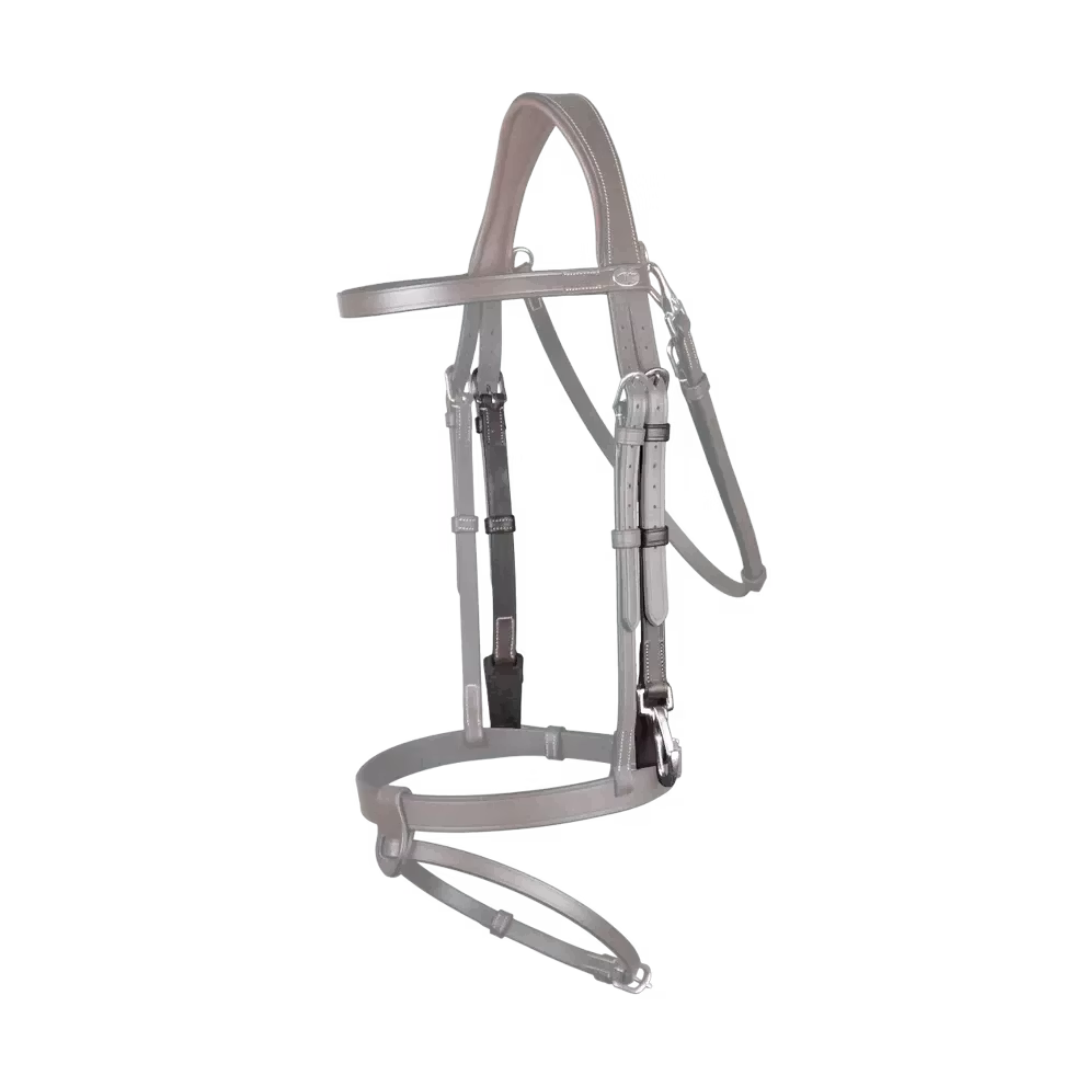 Dy'on Kindstycken Med Snap