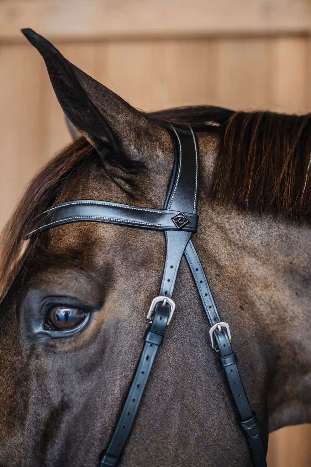 Dyon Träns Bettlöst W