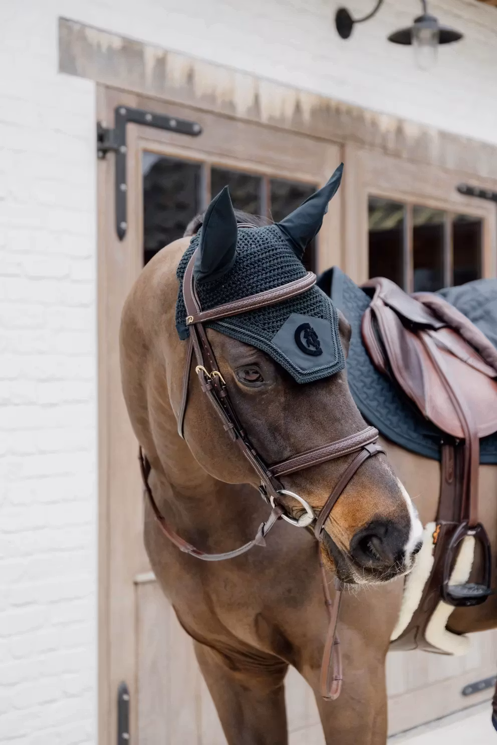 Dyon Flätad Flash Nosgrim-träns D