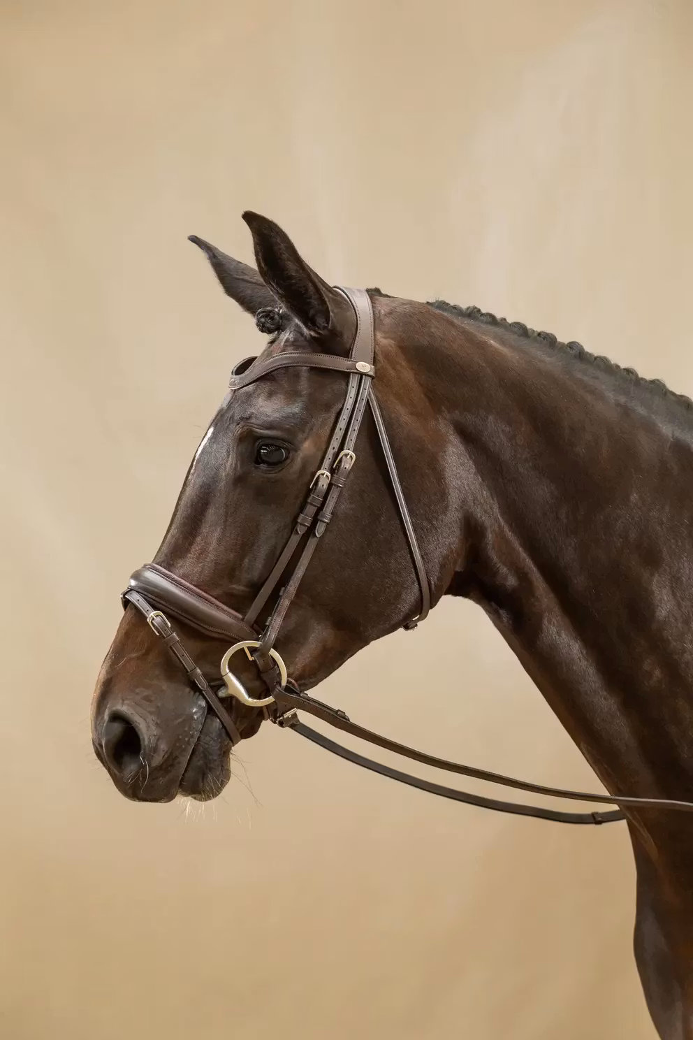 Dyon Dressyrträns Large kombinerad nosgrimma W