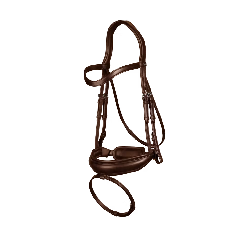 Dyon Dressyrträns stor pullbacknosgrimma DR