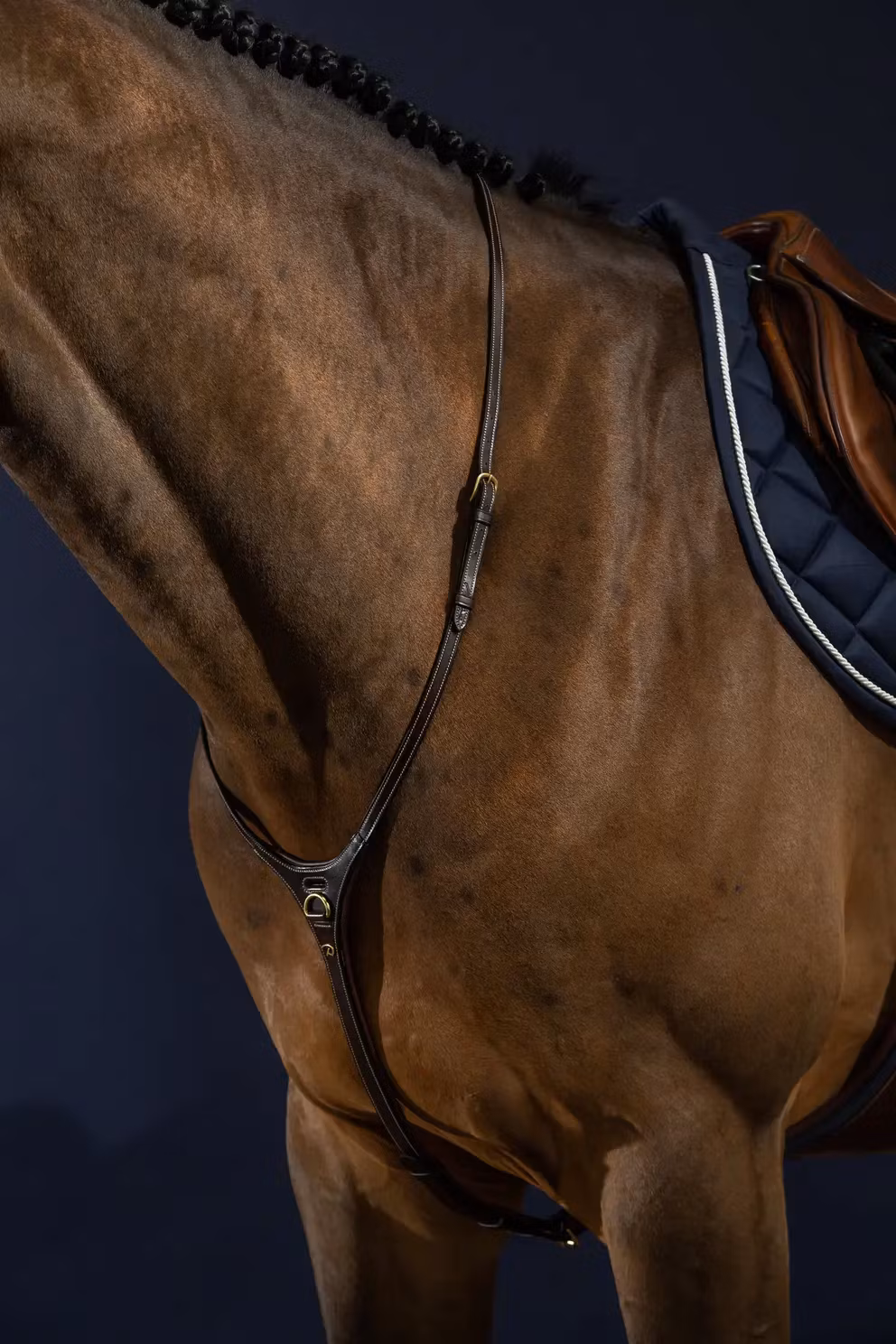 Dyon Yoke Halsrem för martingal D