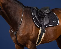 Dyon Yoke Halsrem för martingal U