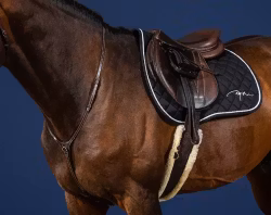 Dyon Yoke Halsrem för martingal U