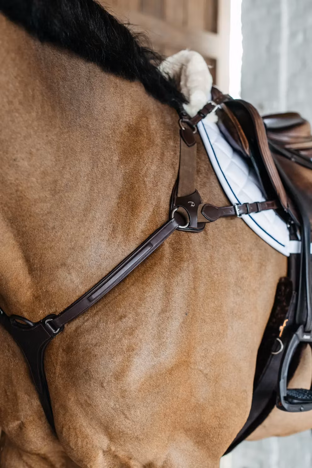 Dyon 5 pukts bröstskydd med resår N