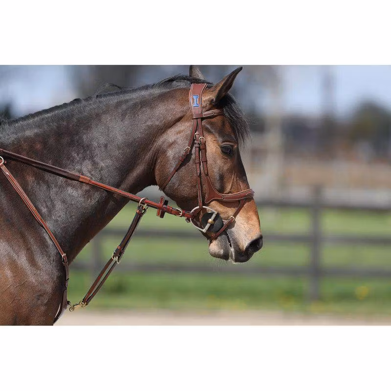 Ikonic Elite Anatomiskt Träns