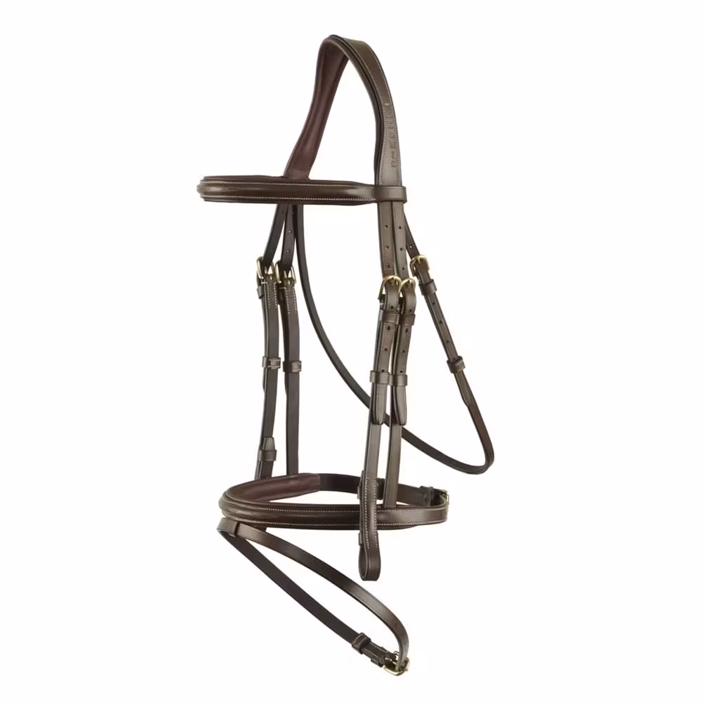 Ikonic Evolution Träns Fancy