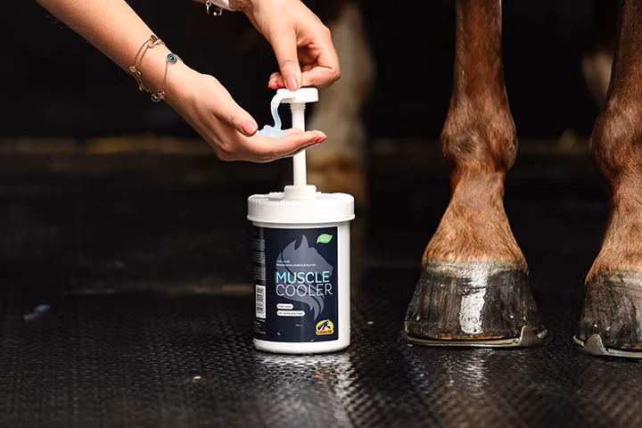 Cavalor Muscle cooler 1L