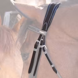 JumpIn One Paris / Bruxelles Nackstycke