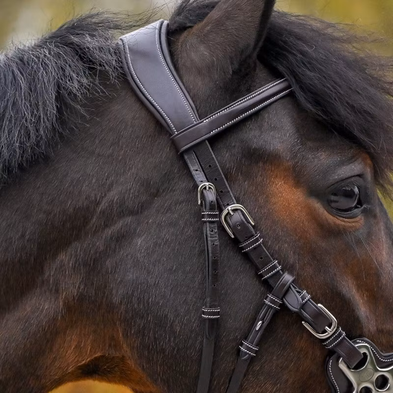 JumpIn Hackamoreträns - One Premium Collection