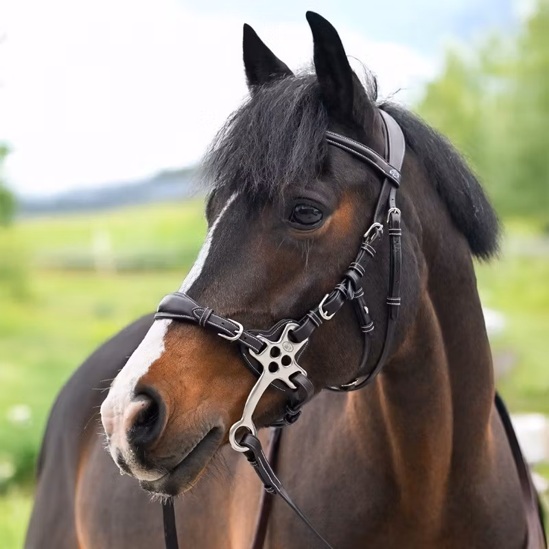 JumpIn Hackamoreträns - One Premium Collection