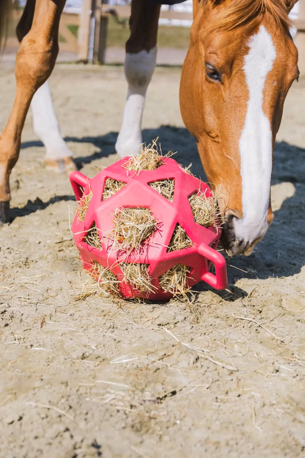 Kentucky Relax Horse Play & Hay Ball