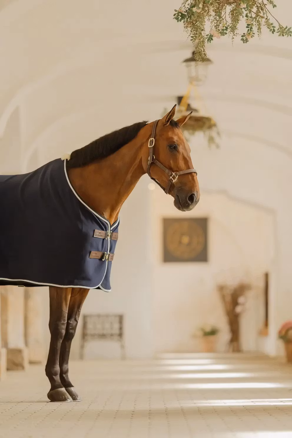 Kentucky Fleece Rug Show Vegan Wool