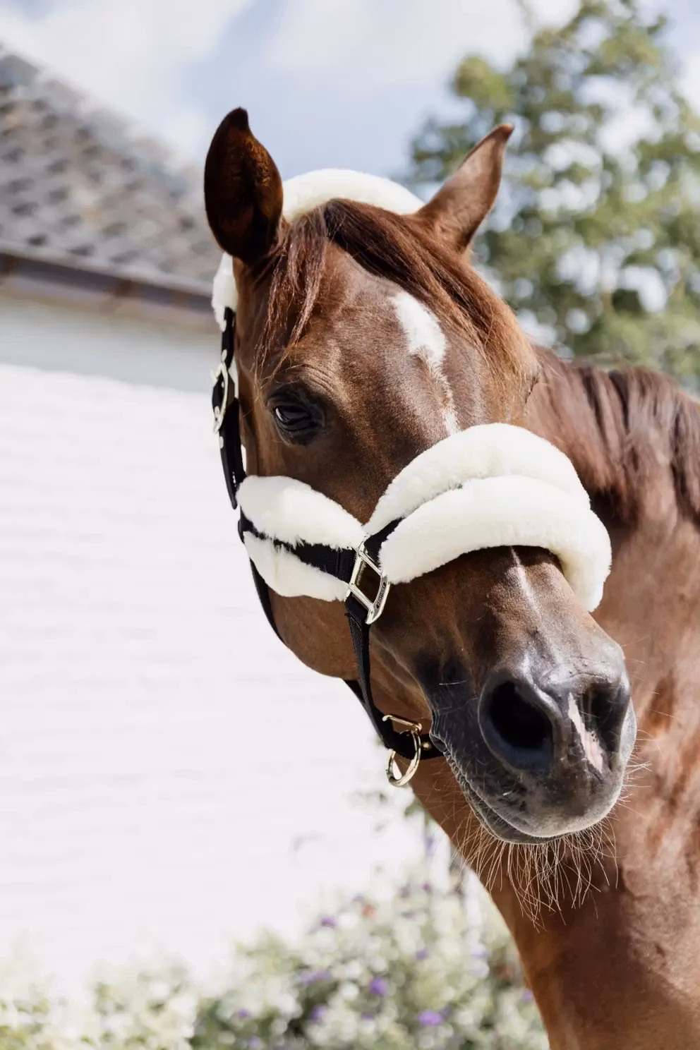 Kentucky Nylon Sheepskin Halter Soft